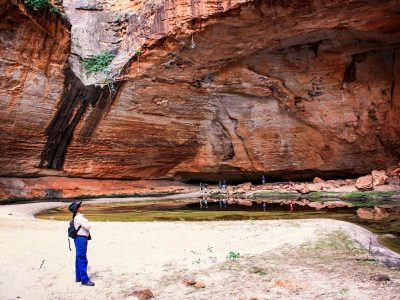 Tour Piccaninny Creek Guided Walking Tours WA