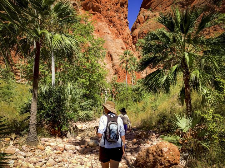 Where to stay in the Bungles?