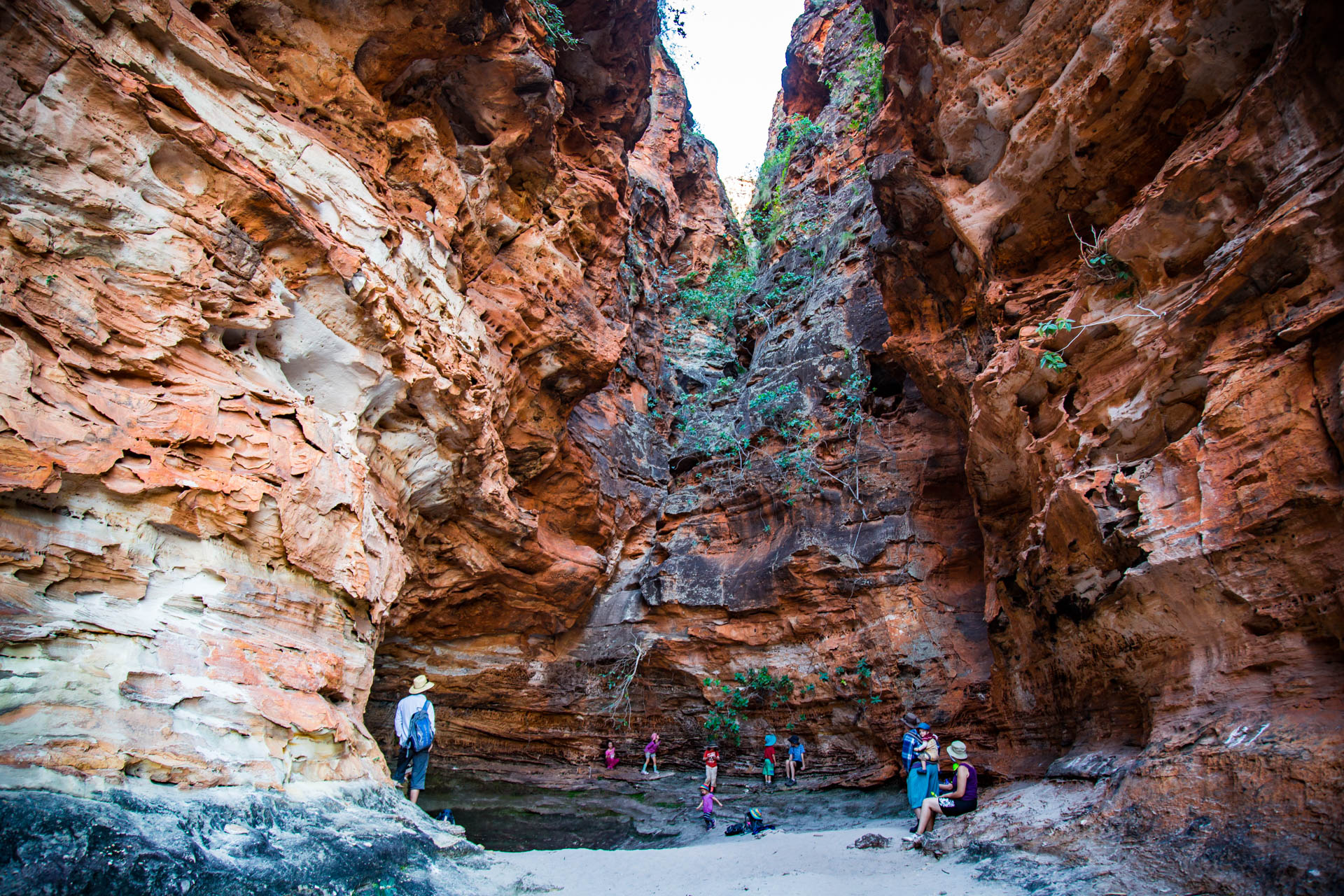 Noosa National Park