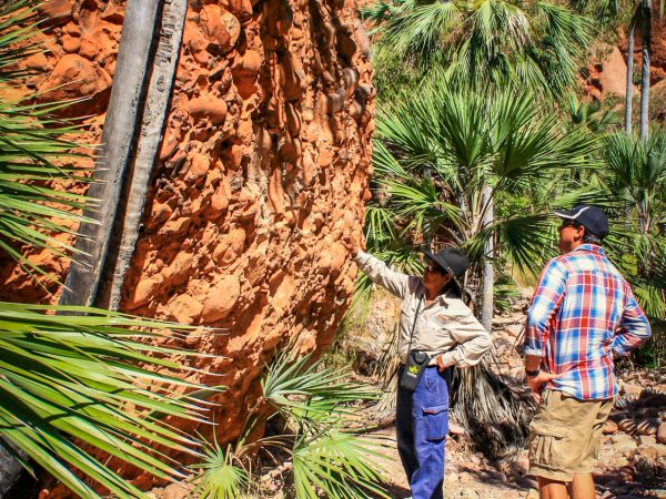 Uploaded ToCathedral Gorge and Domes Guided Walking Tours