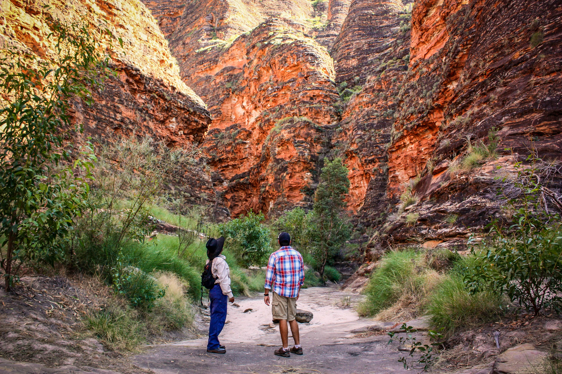 Travellers Enjoying the beauty on Guided Walking Tours