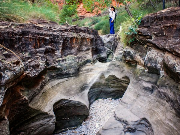 Hide and Seek Spots in Picaninny Creek - BBGT