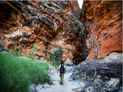 Top Three Bungle Bungle Experiences for Hiking Fanatics