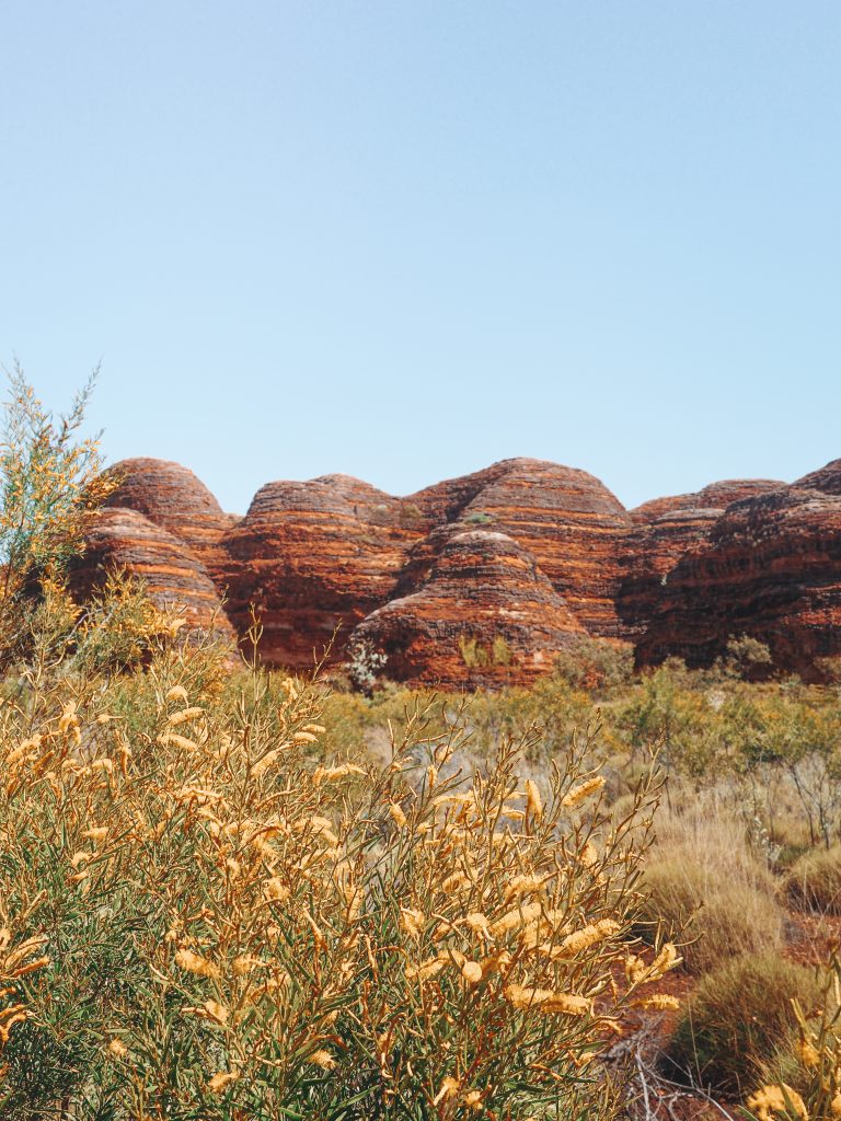 bungle bungles day trip