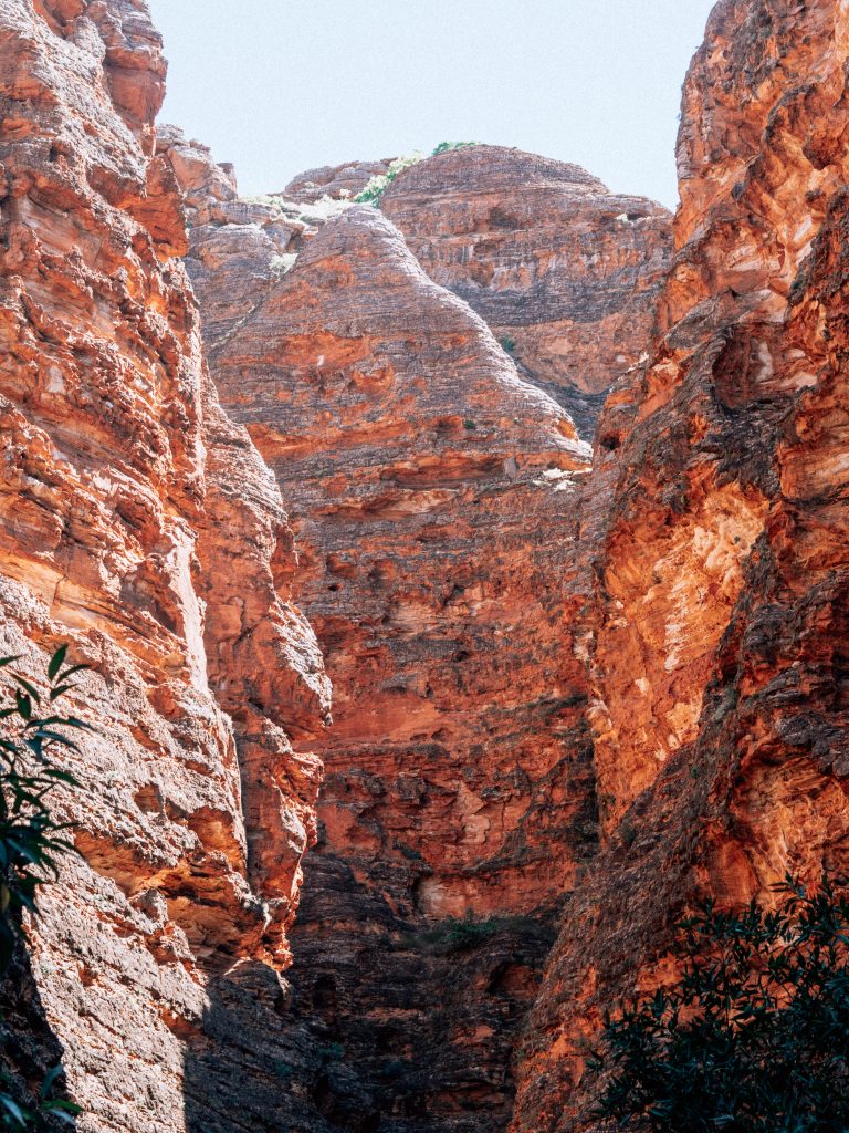 bungle bungles day trip